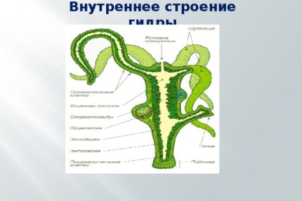 Найдется все kraken 2krn cc что это